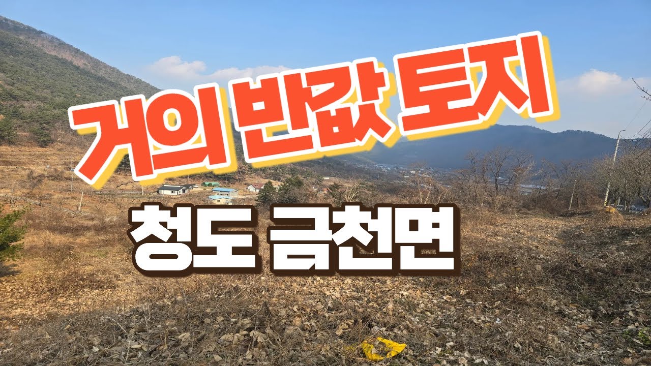 0621.거의 반값 토지, 청도 금천면 계획관리 4차선접 #청도토지 #반값토지 #창고부지 #요양원부지 #카페부지 #캠핑장부지 #저렴한땅