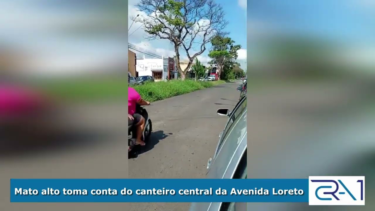 Mato alto toma conta do canteiro central da Avenida Loreto
