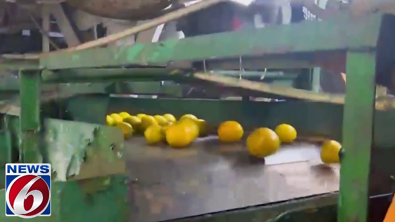 Orange County citrus packing facility closes