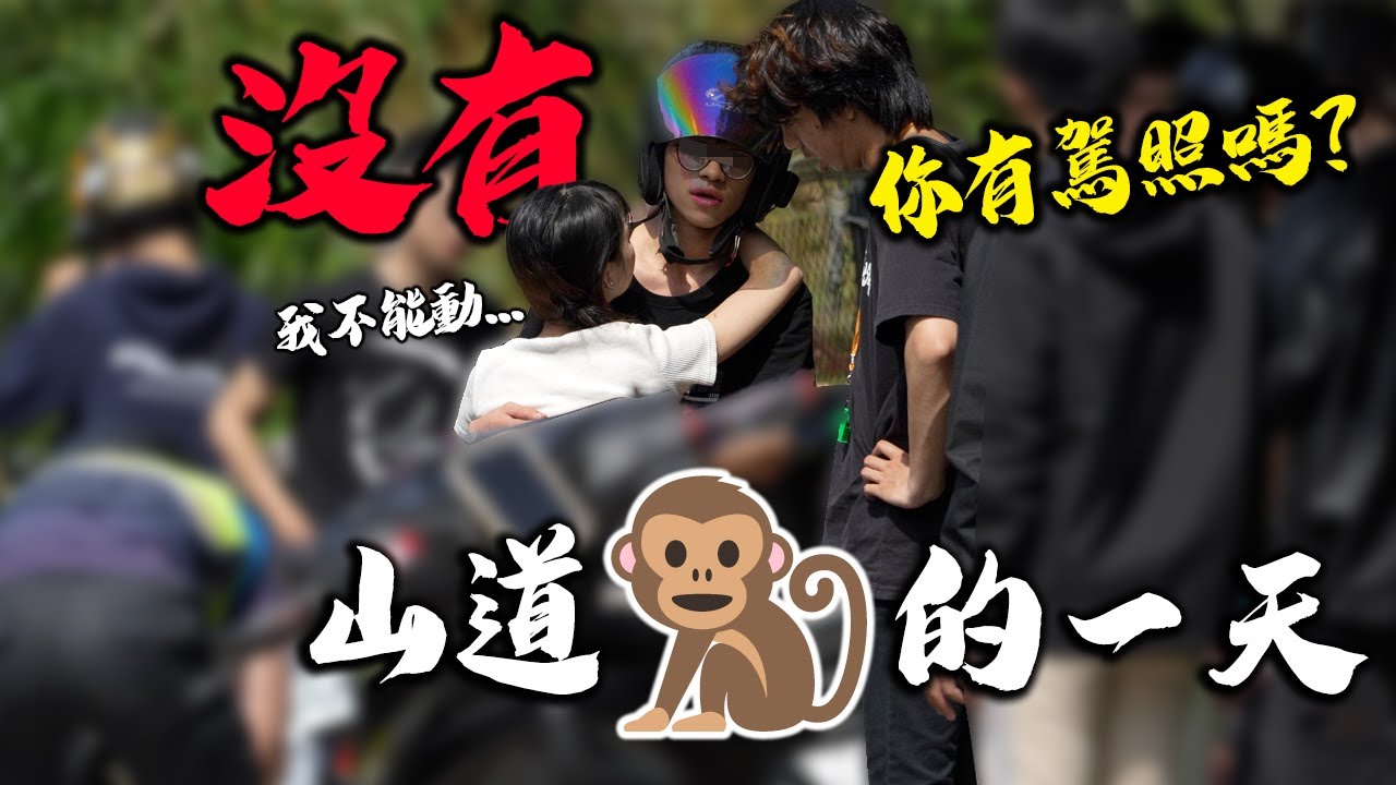 山道猴子的一天