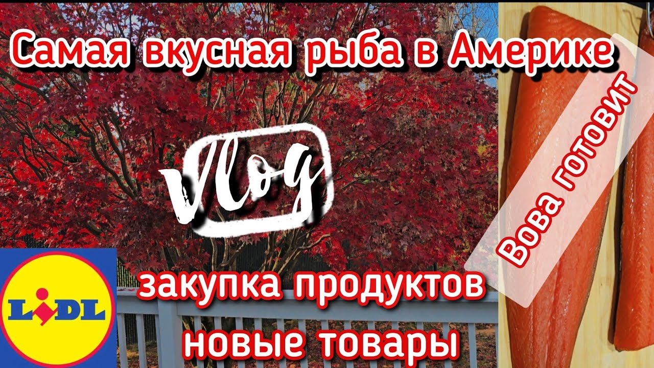Закупка продуктов в США 🍎 Магазин Lidl 💚 Первый опыт копчения 🐟