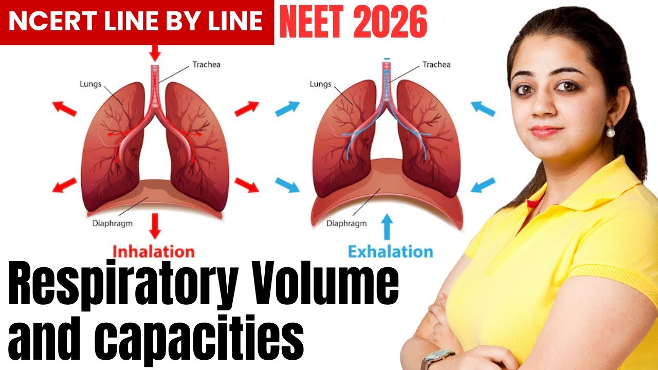 Respiratory Volumes and Capacities | Class 11 Biology | NEET 2026 | NCERT Line by Line