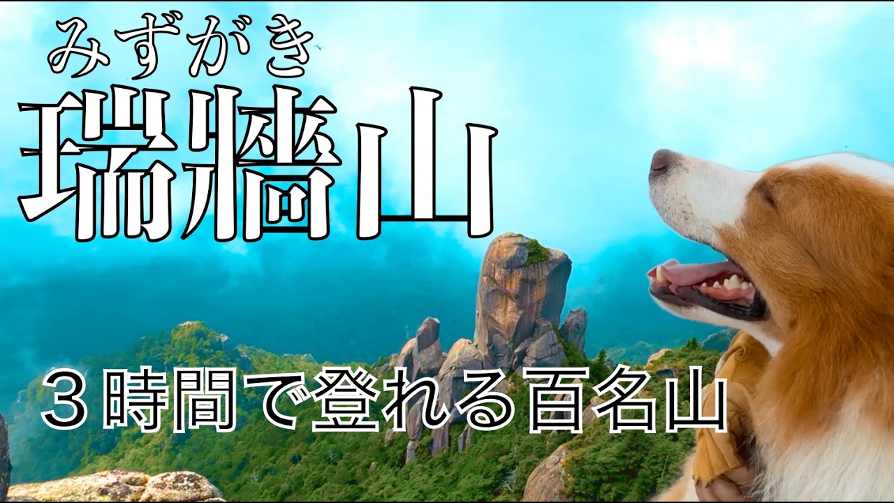 【瑞牆山】天空にそびえる岩の殿堂 ももの助　山犬になる