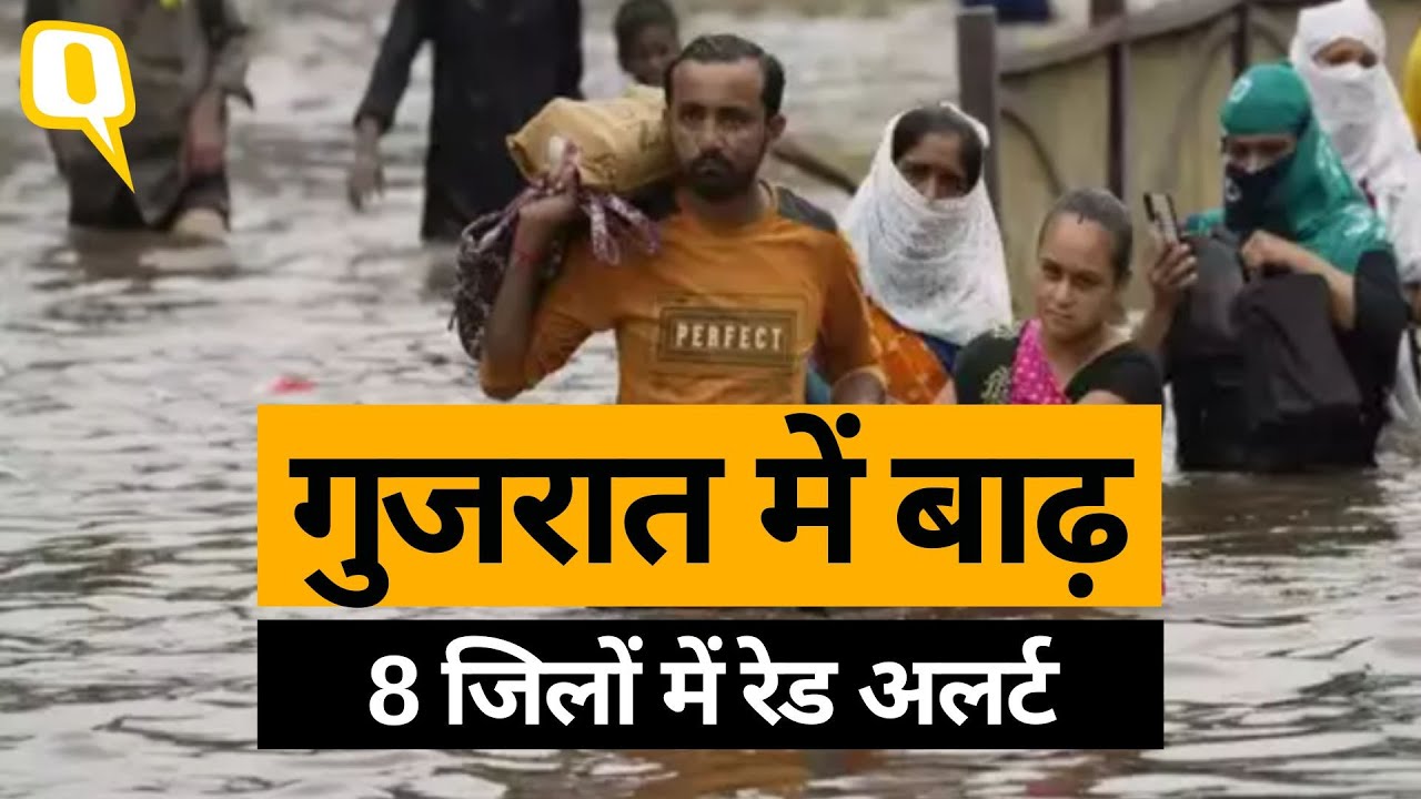 Gujarat Flood: बाढ़ से हालात बिगड़े, 8 जिलों में रेड अलर्ट, बिजली गिरने से 63 मरे ।Quint Hindi