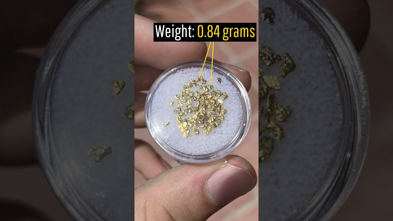 I Found Gold in Alaska!