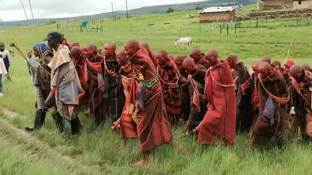 Makolwane a ntate Rajoko Tenza Motlokofane 2024