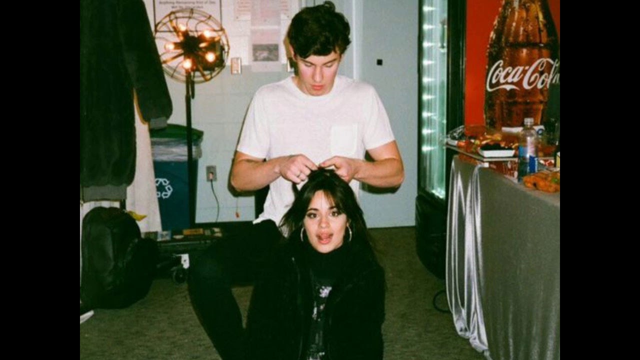 Señorita - Shawn Mandes and Camila Cabello, but you are in a party bathroom