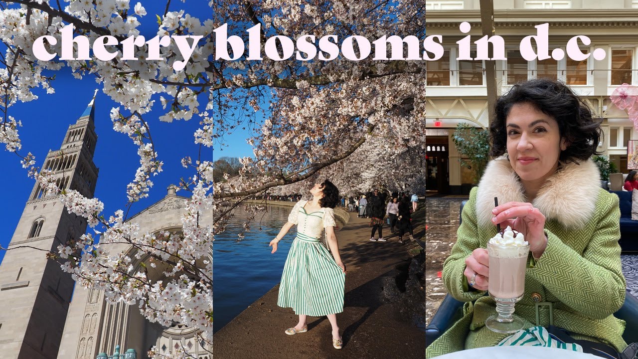 Weekend in D.C. 🌸 Cherry Blossom Festival, Brunch, National Gallery & National Shrine