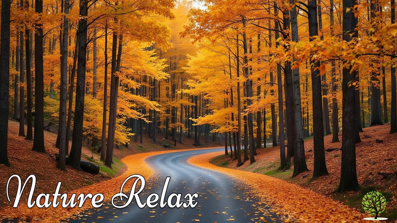 Great relaxing music🍁Nature melodies help reduce stress, heal the soul, stop overthinking & Healing