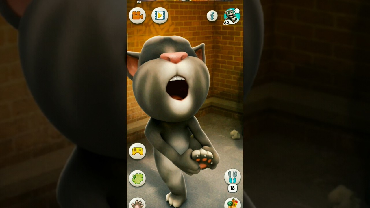 Talking tom cat aoo aoo //  Talking tom cat ayoo ayoo #shorts #talkingtomcat #talkingcat #cartoon
