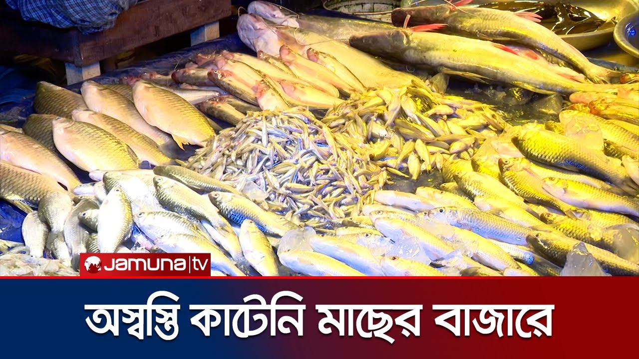 যোগান কমায় বেড়েছে মাছের দাম; নাগালের বাইরে সবজিও | Fish | Vegetable | Jamuna TV