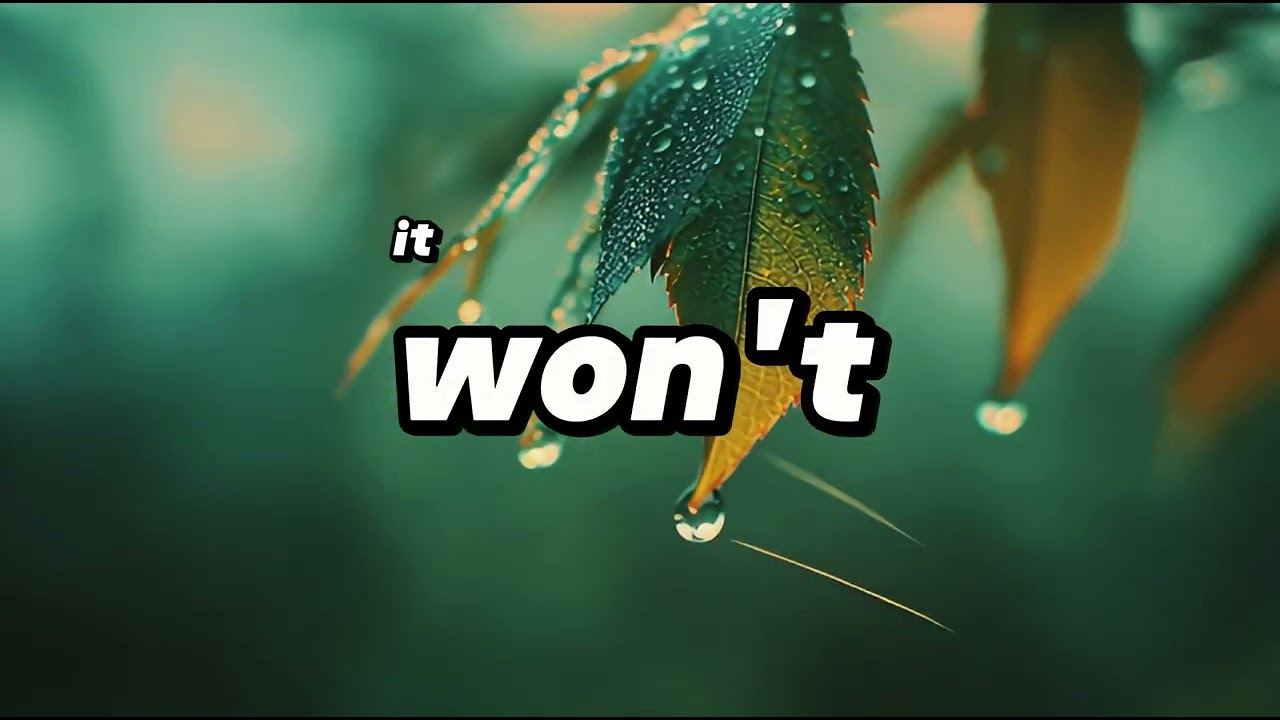 Things I Never Said Out Loud | Bedroom Pop Song