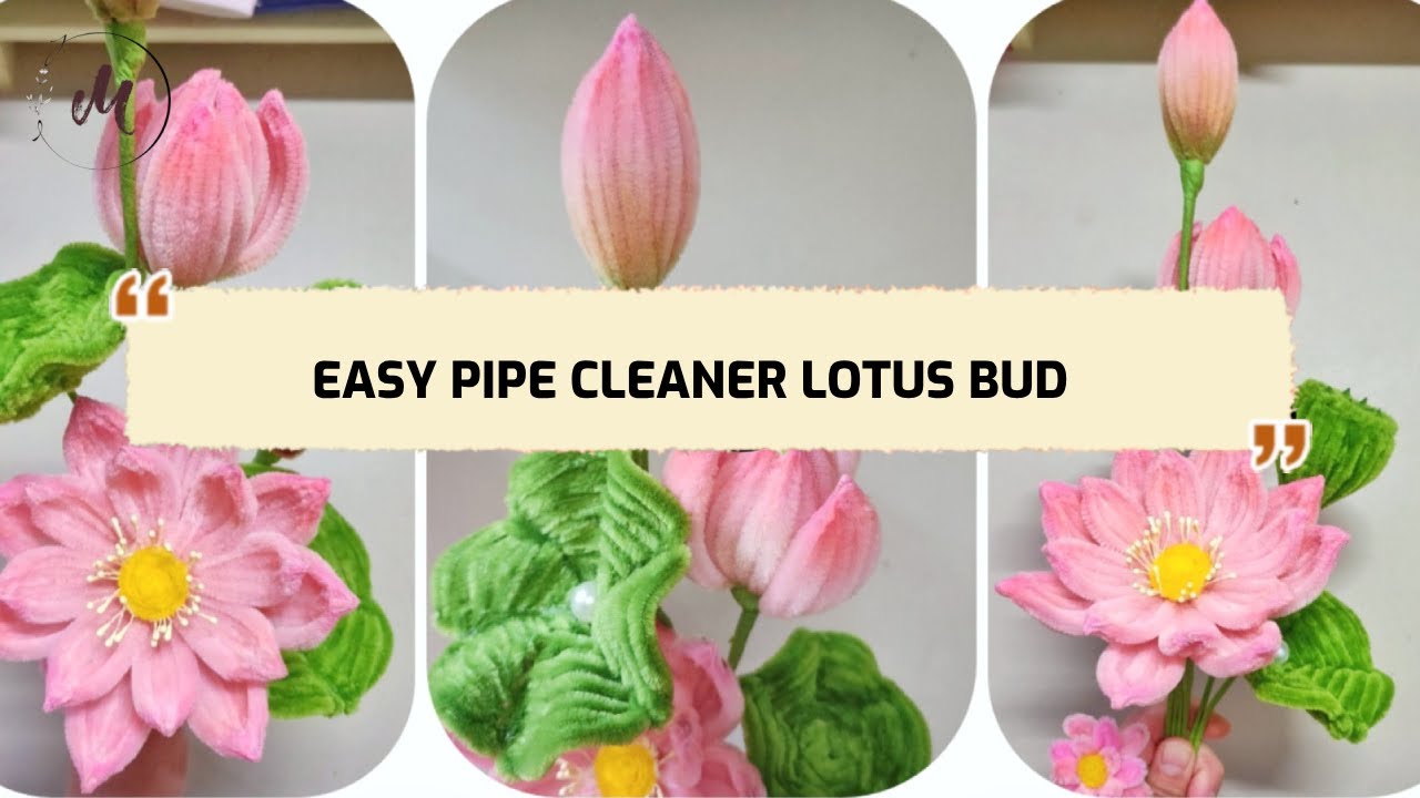 Tự làm nụ sen từ kẽm nhung/ Easy Pipe Cleaner Lotus Bud