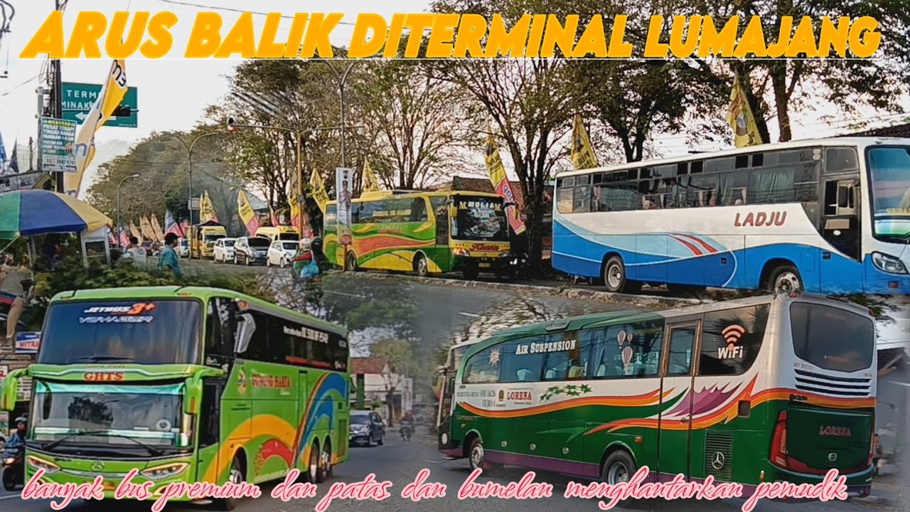 ARUS BALIK||HUNTING TERMINAL LUMAJANG||BUS PREMIUM ISTIMEWA DISINI😉