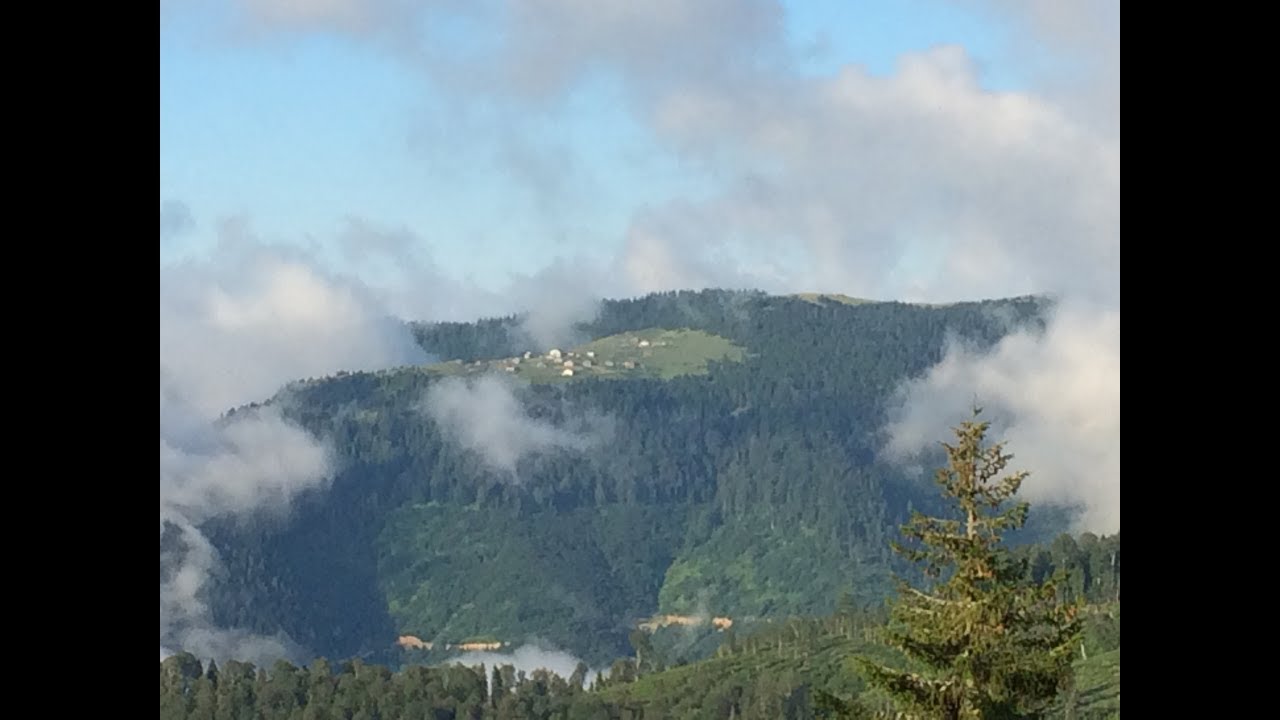 Yaylada Hayat (Tirebolu Ağaçbaşı Yaylası)
