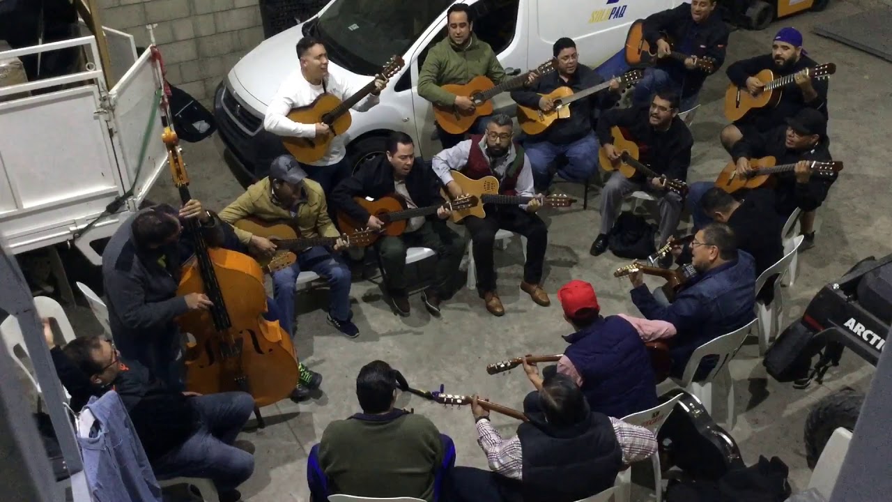 Ensayo Rondalla del Pitic, Canción, Ay Amor del maestro Miguel Luna