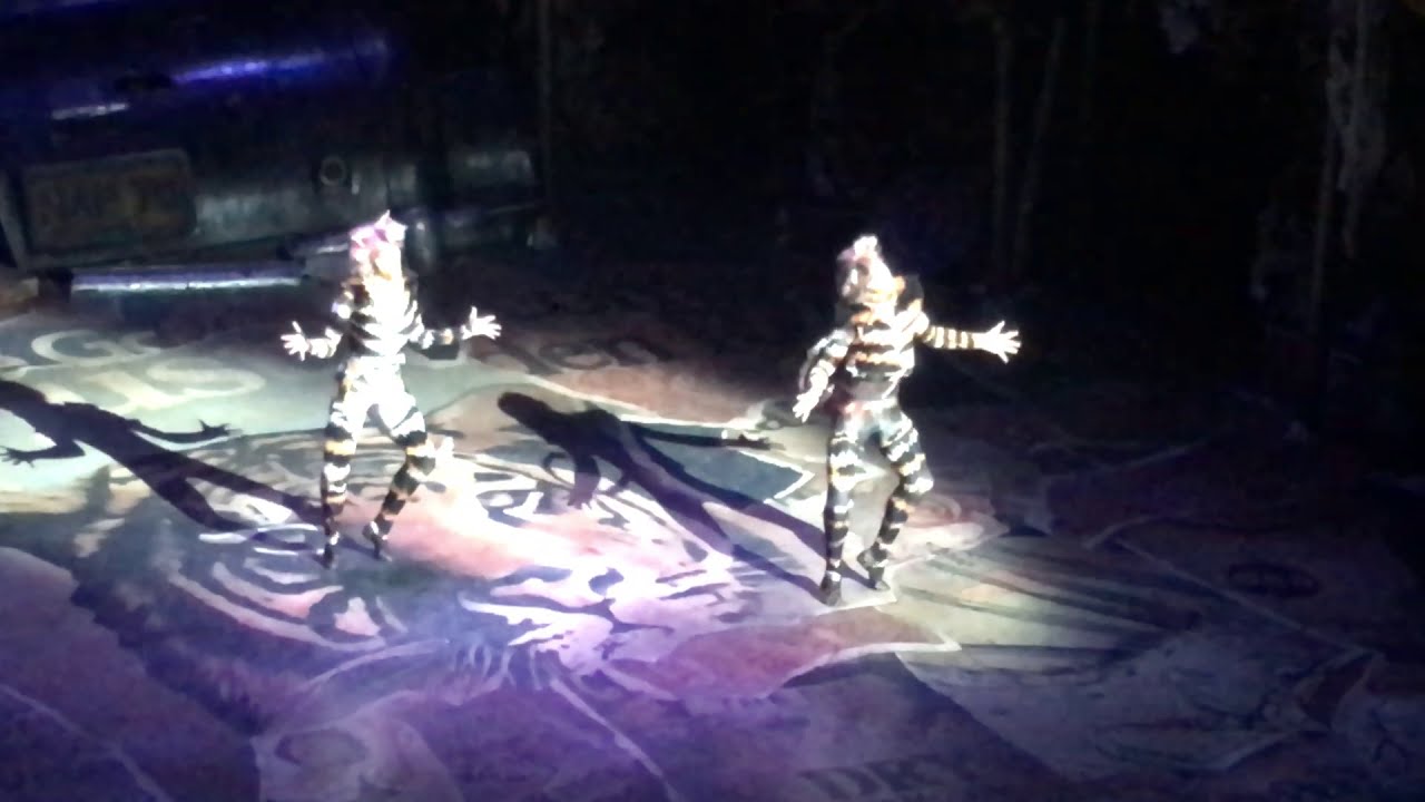 Mungojerrie & Rumpelteazer from CATS Broadway 2017 (Haley Fish & Zachary Daniel Jones)