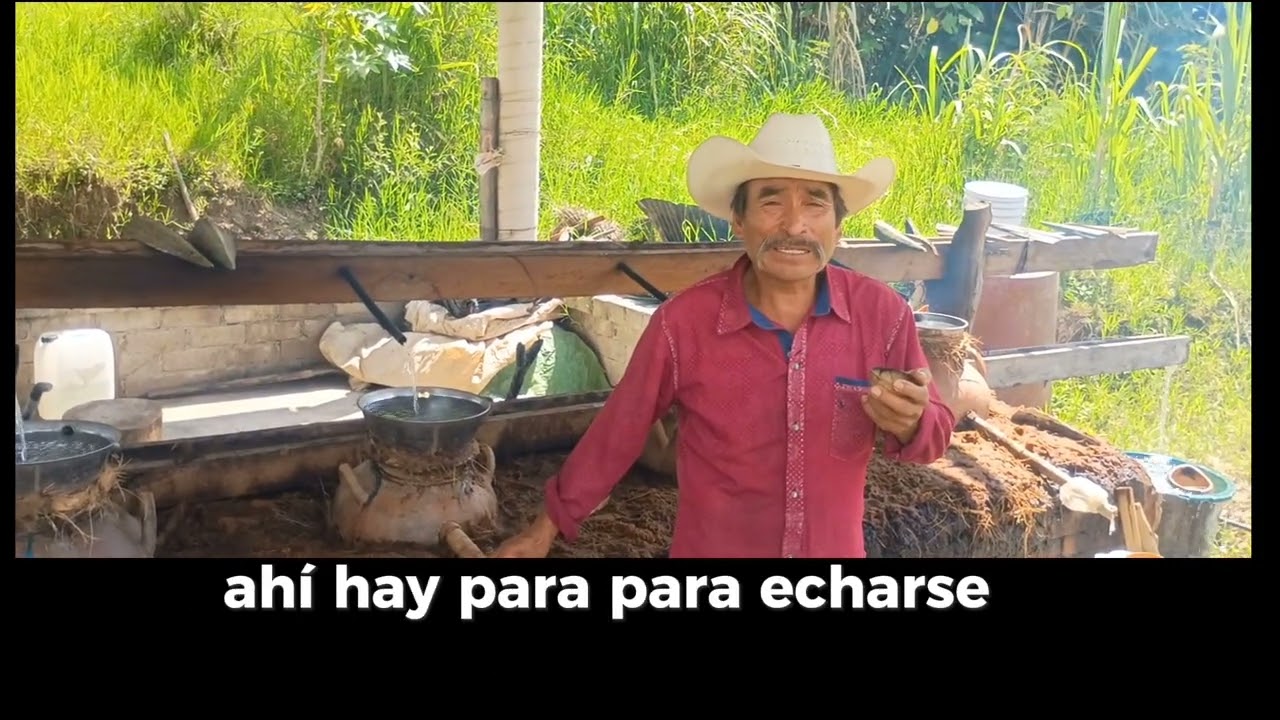 Feria del Mezcal y 