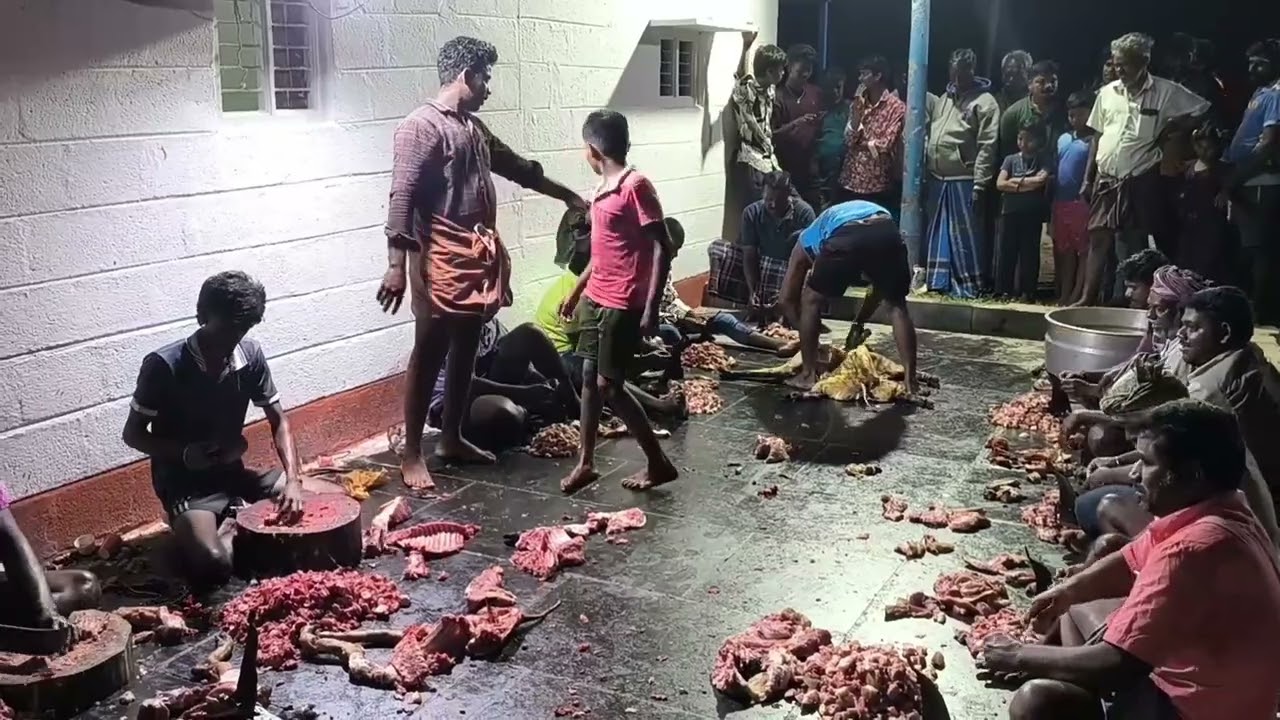 2,500 கிலோ கறி படைத்து முப்பூஜை விழா/Offering meat in worship #trending 