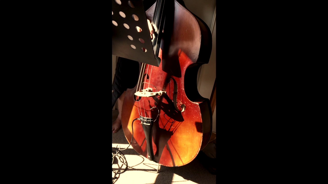 Double bass tracking - Pimp My Song Studios