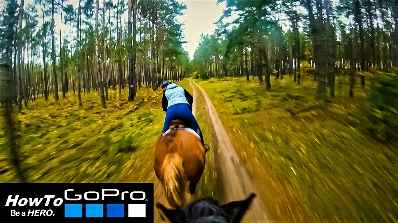 Horseback Riding Music Video Horse Galloping Gopro Hero 7 POV Adventure