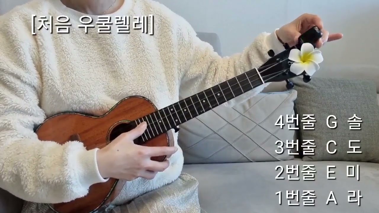 [처음 우쿨렐레]1. 우쿨렐레에 대해 처음 우쿨렐레 배우기 기초 우쿨렐레 구조 줄번호 손가락번호 스트랩묶기 피크잡는법 악보 등