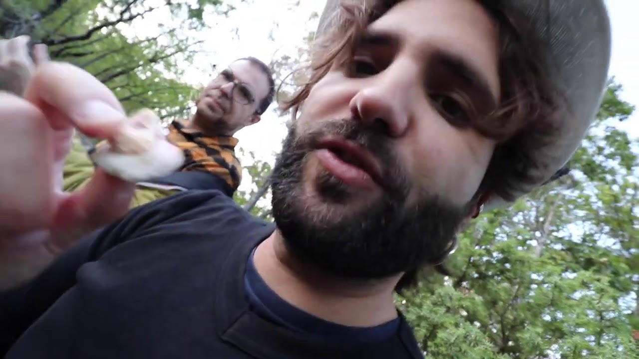 Il bramito del cervo ma sono circondato da gente strana