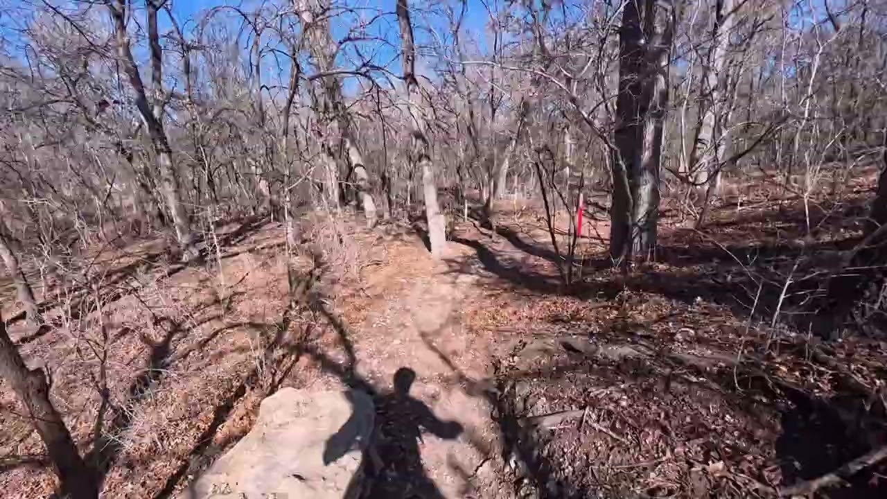 Feb 7 2026 The Bluffs 2 of 2