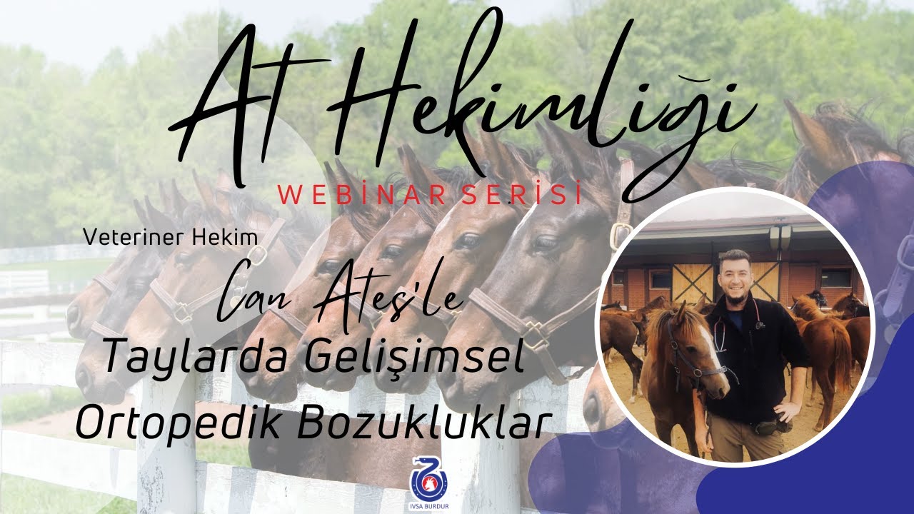 At Hekimliği Webinar Serisi | Veteriner Hekim Can Ateş'le Taylarda Gelişimsel Ortopedik Bozukluklar