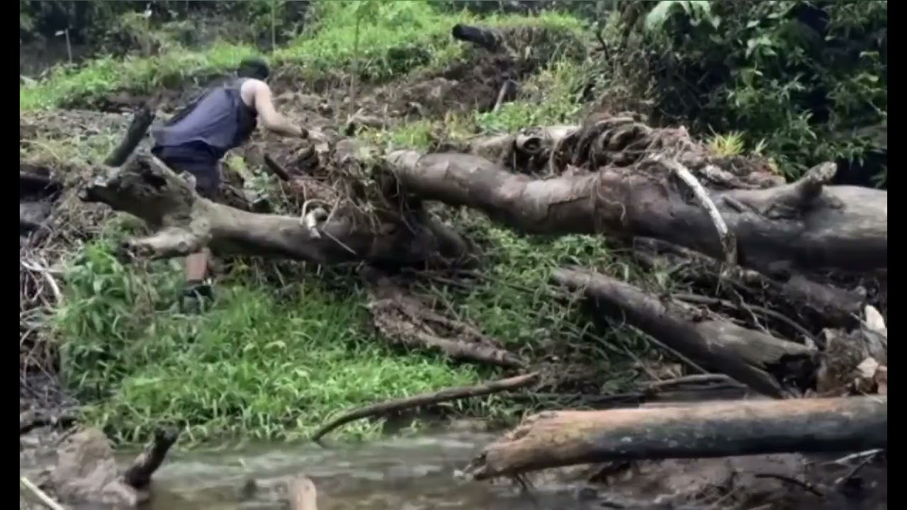 Rural Life Skills: Building with Bamboo in the Jungle