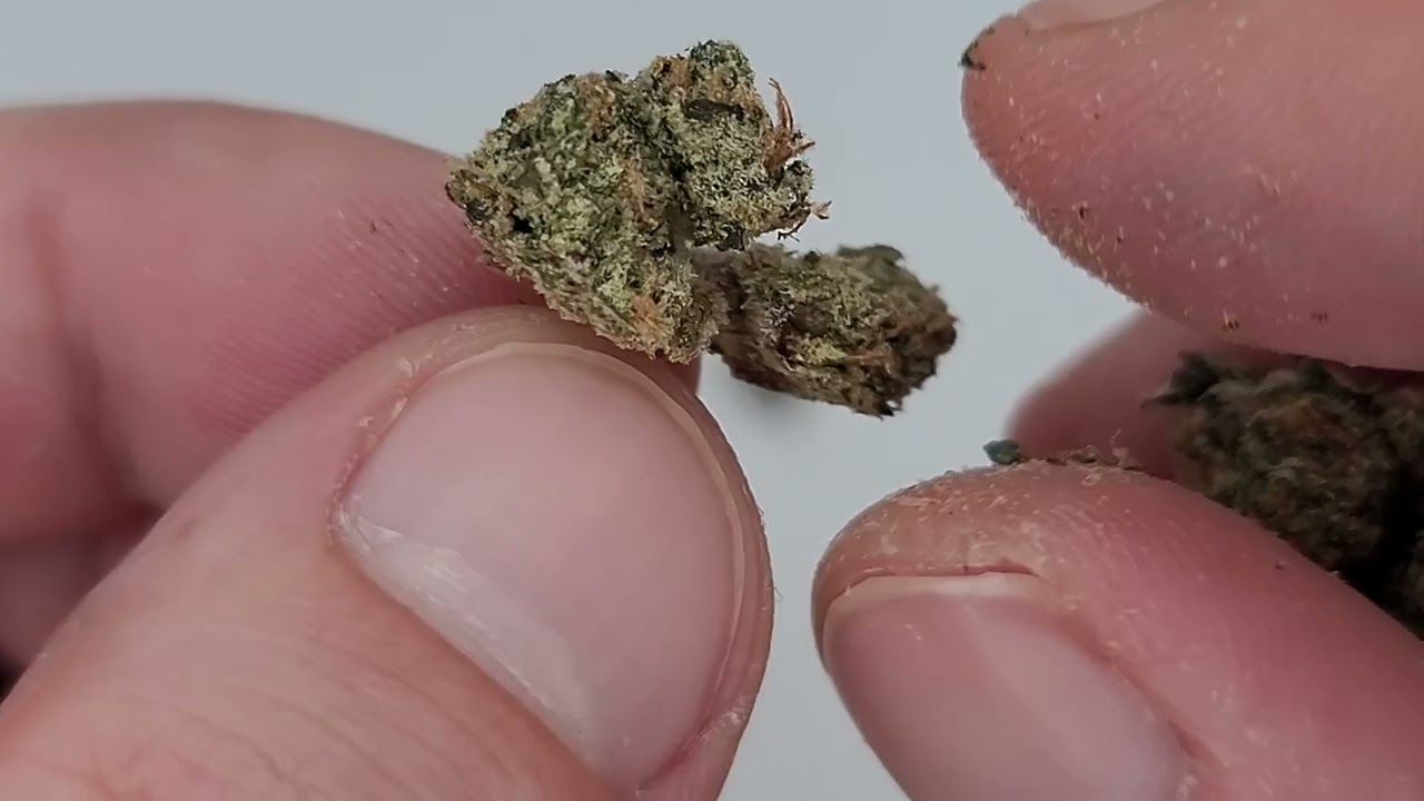 Shop Hello Mary Review | Uncle Snoop Smalls THCA Flower #thcareview #Hemp #Review