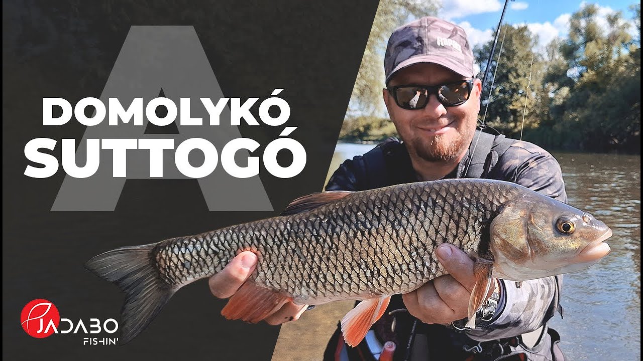 Folyóvízi domolykó horgászat Kecskés Viktorral