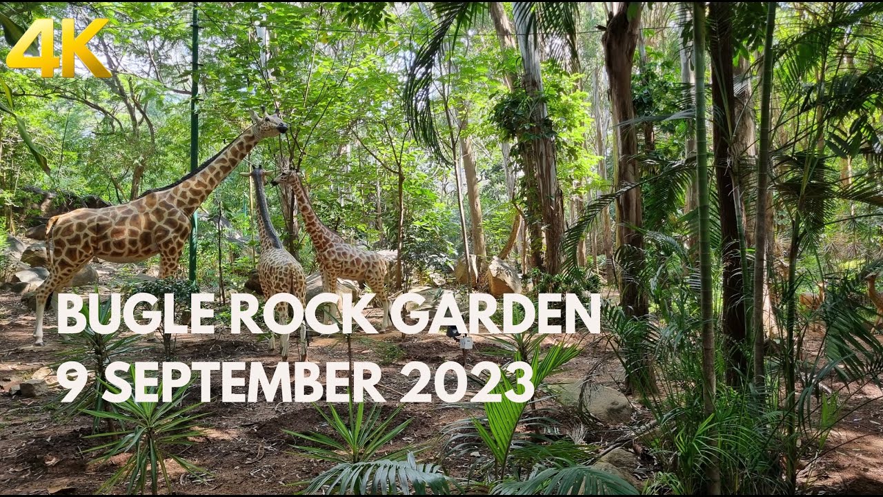 Bugle Rock Garden - Bangalore | 9 September 2023 | Walking Tour 4K