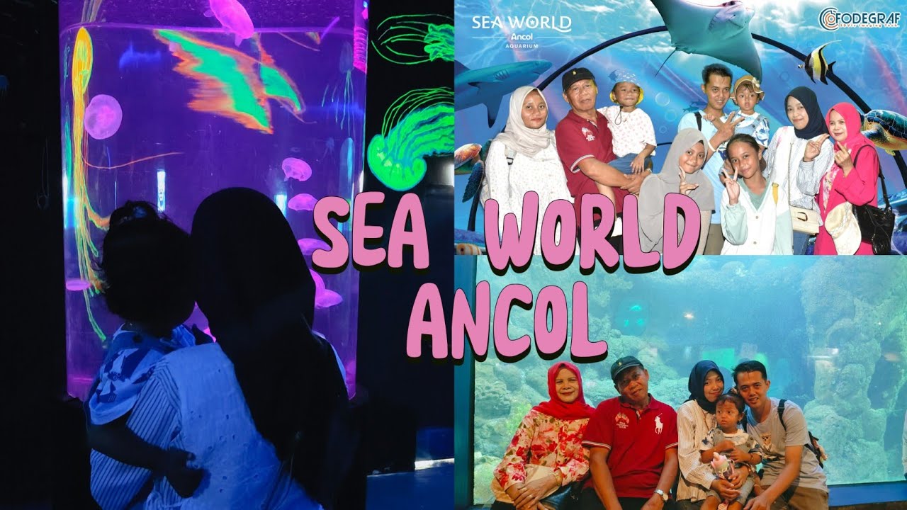 Main ke SEAWORLD Ancol Jakarta