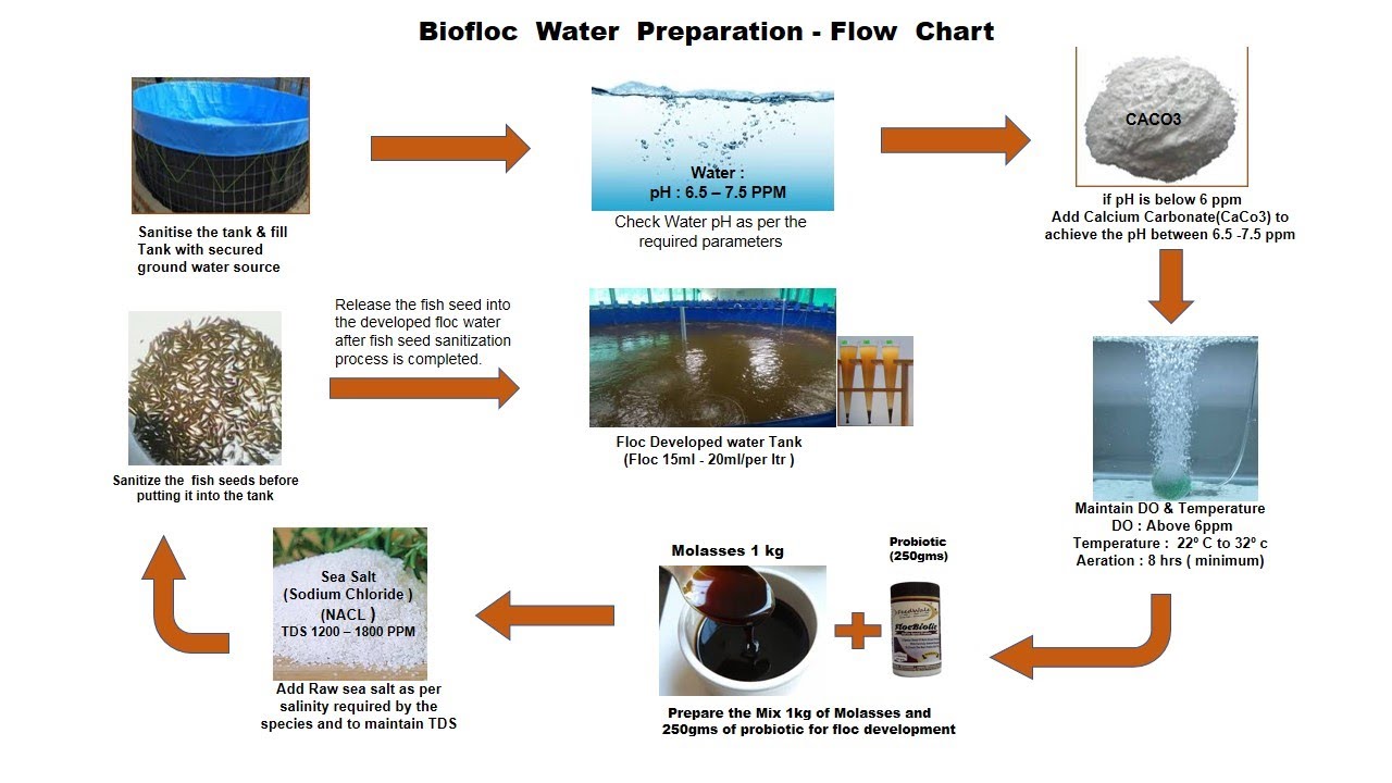 #Biofloc water preparation - flow Chart