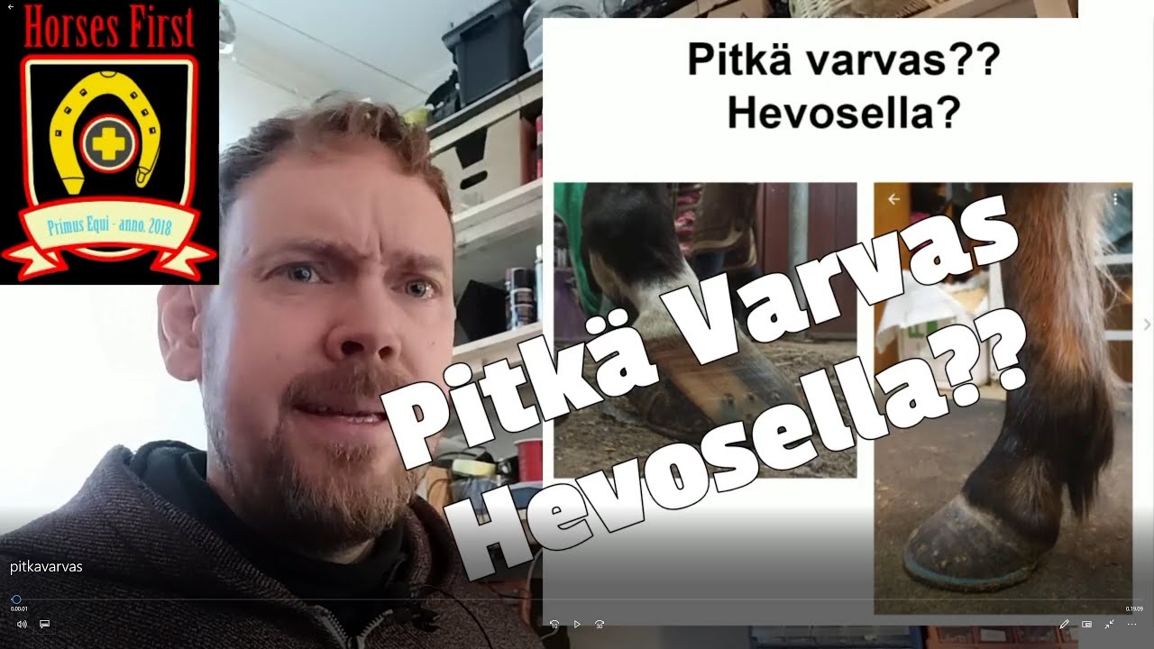 Mitä tarkoittaa pitkä  varvas hevosella, mitä sille voi tehdä