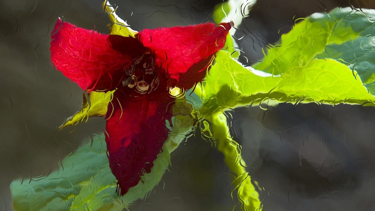 Liquid Displacement Effect in Touchdesigner