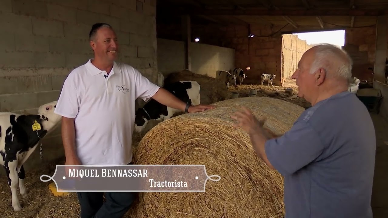 UEP! COM ANAM? [662] - VAQUERIA SA VINYA DE CAMPOS, COCARROIS DE BLEDES A EIVISSA I CIRERES A ORIENT