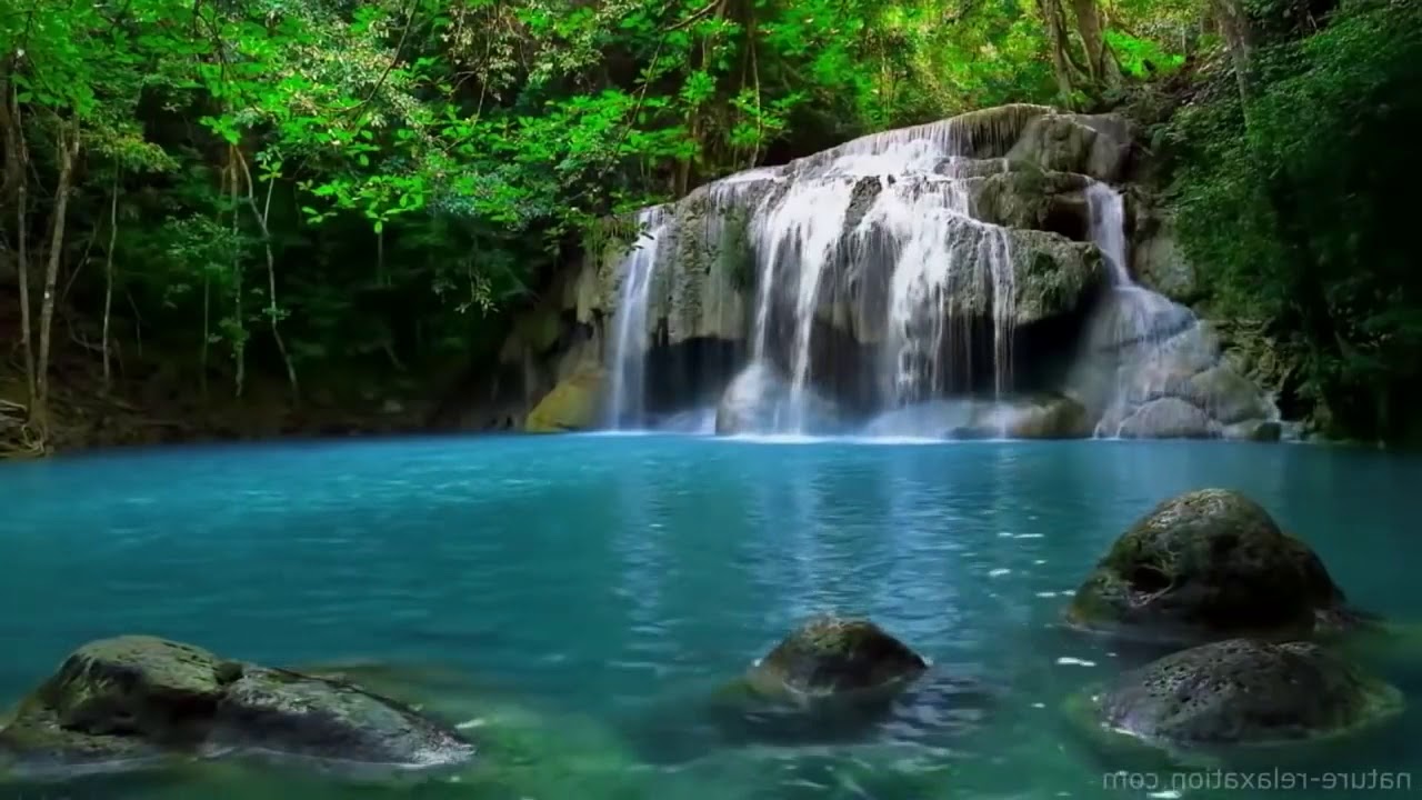 سورة يس (ماهر المعيقلي) مكرره 3 مرات بجوده HD 🍂🍁