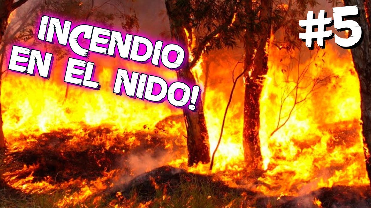 NATALIA + MOLOTOV = INCENDIO FORESTAL 🧟‍♂️ DAYS GONE #5