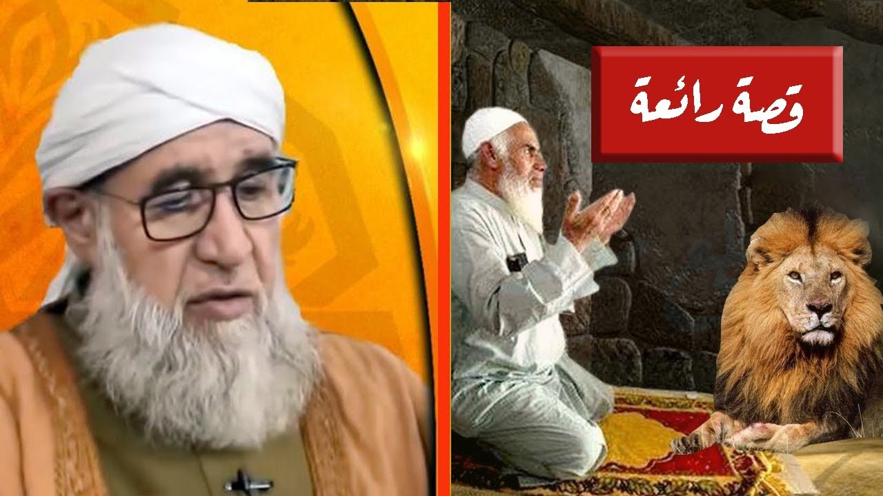 أدخلوا عليه سبعاً ليفترسه فثبت ولم يخف «ابن بنان مع ابن طولون»