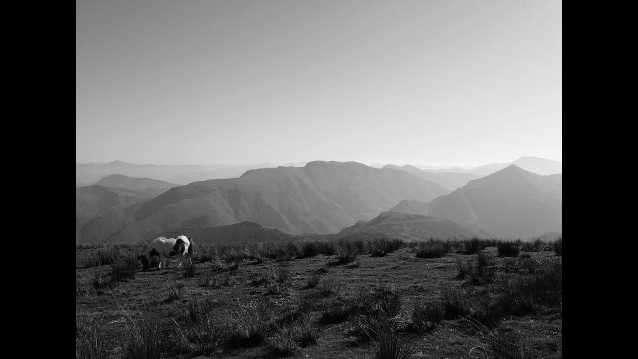 Artzamendi depuis le bord de la Nive ( Lexia / Itxassou )