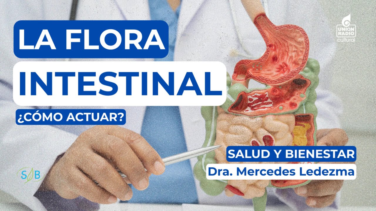 El segundo cerebro y la flora intestinal
