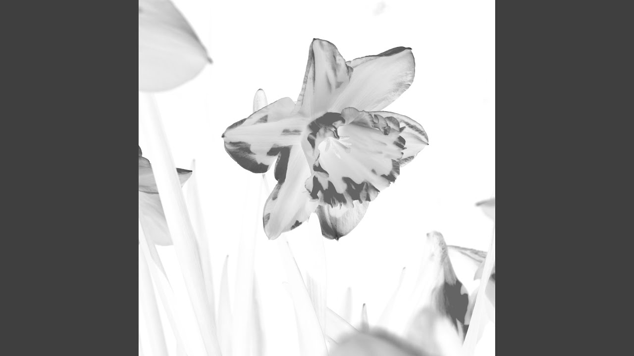 Glitter & Daffodils