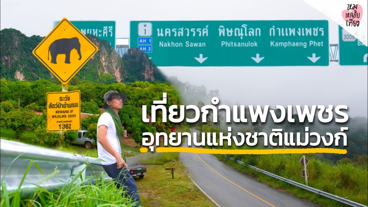 อุทยานแห่งชาติแม่วงก์ เจอหมอก นอนช่องเย็น เห็นโมโกจู ดูกิ่วกระทิง