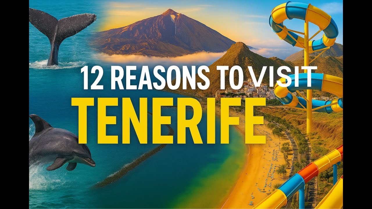 12 SHOCKING reasons to visit TENERIFE now....
