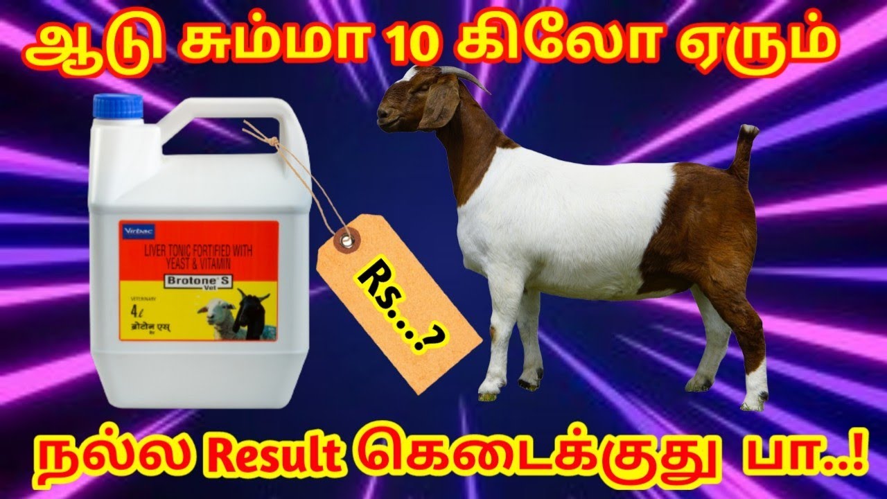 #psfarmers#aduvalarppu#விவசாயம்  ஆடு நல்ல எடை அதிகரிக்க டிப்ஸ் லாபம் கிடைக்கும் தொழில்