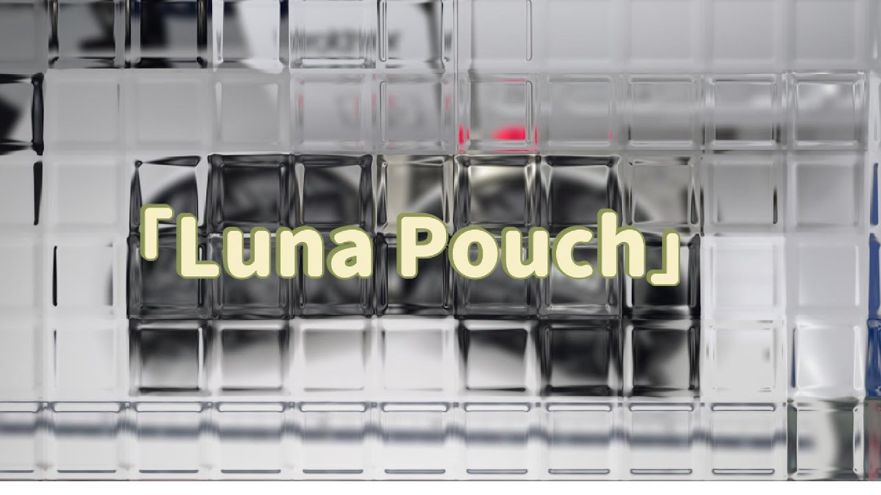 Luna Pouch(반달파우치)🌗
