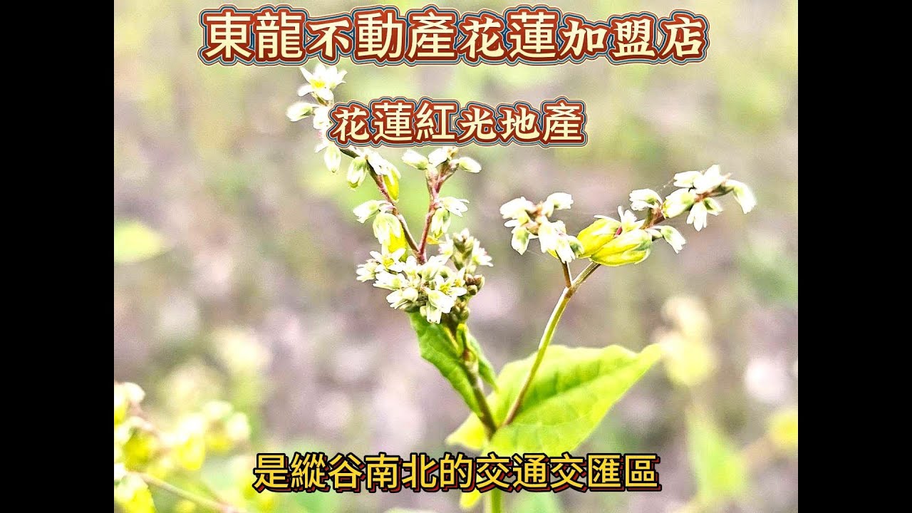 山巒層層╱花蓮玉里