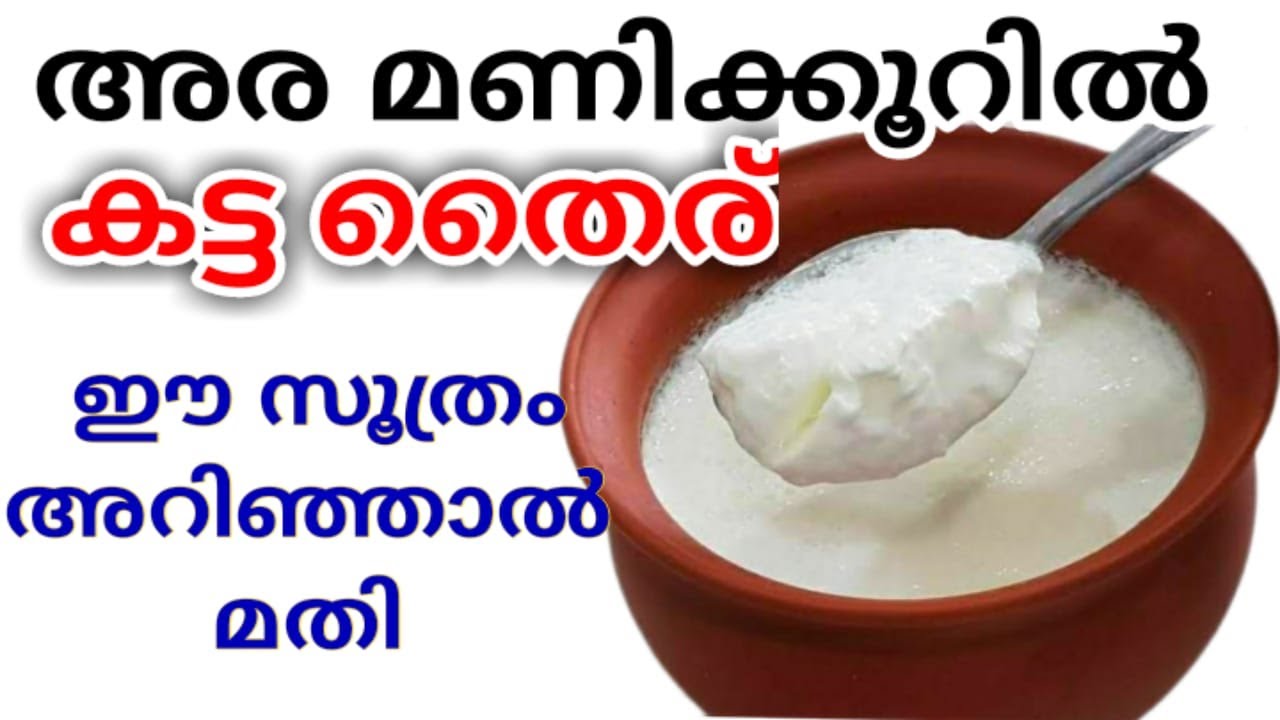 പാലൊഴിച്ച് 30 മിനിട്ടിൽ കട്ട തൈര്| thick curd|easy dahi|curd|kitchen tips